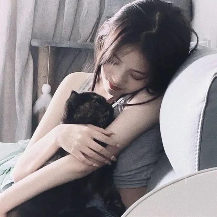 疾速追杀3
