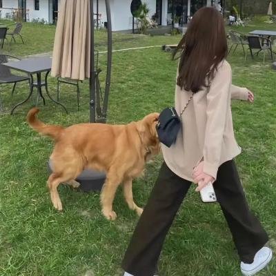 六枪手